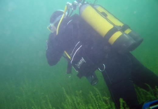 Tenderingersee