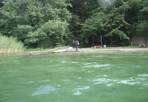 Stechlinsee